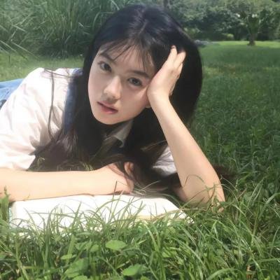 营救长颈鹿之漫漫归途